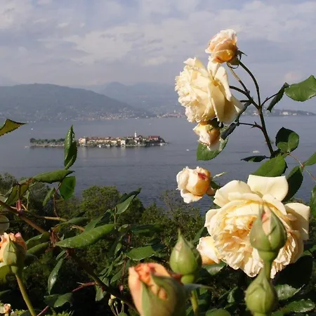 Gaia Over Borromeo's Gulf Stresa